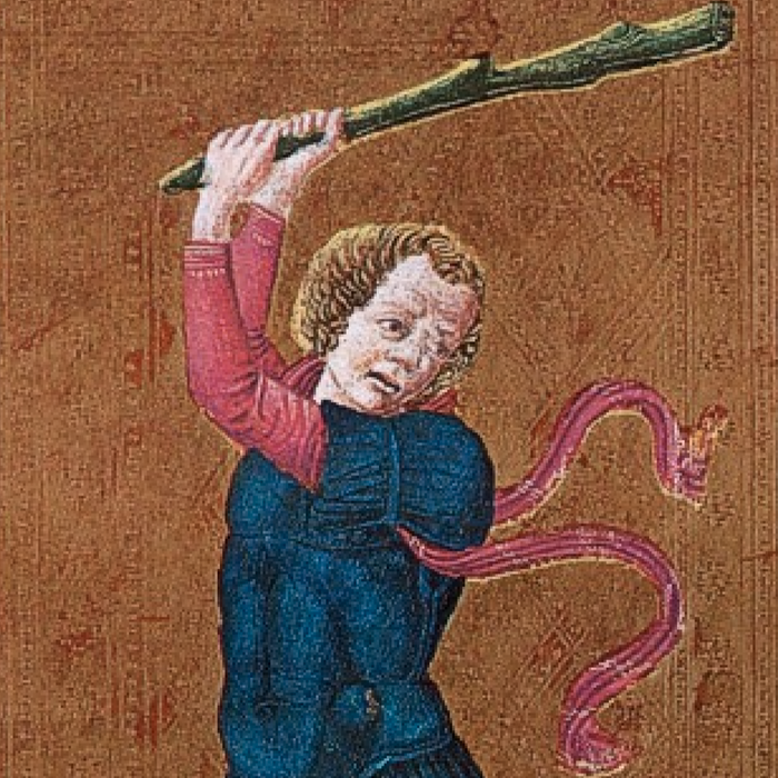 La forza